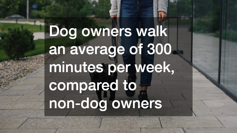 woman and her dog walking at a park